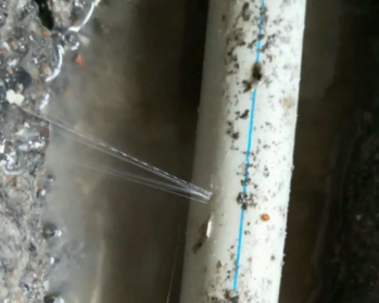 阎良卫生间测漏水多少钱