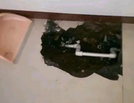 阎良卫生间测漏水多少钱